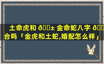 土命虎和 🐱 金命蛇八字 🕊 合吗「金虎和土蛇,婚配怎么样」